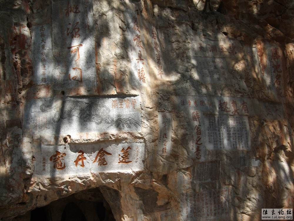 ������С DSCF3749.jpg