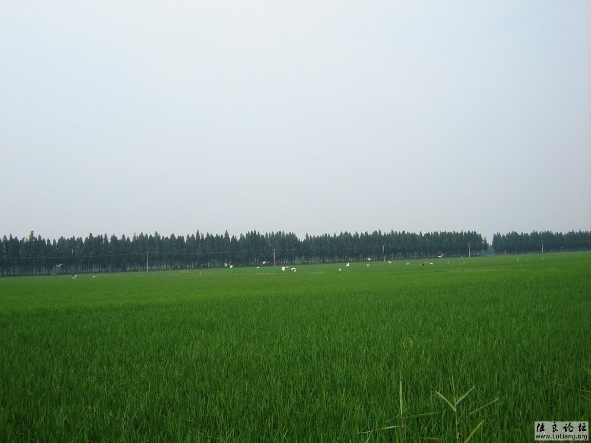 �����ļ��� 013.jpg