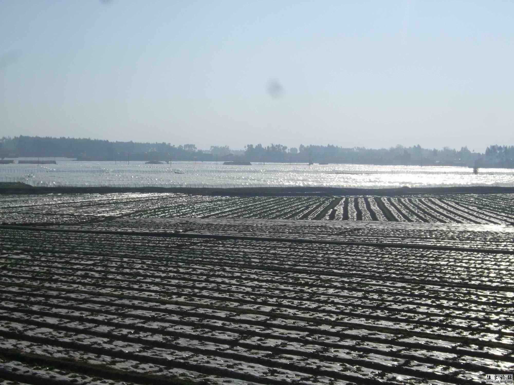 ������С DSCF3894.JPG