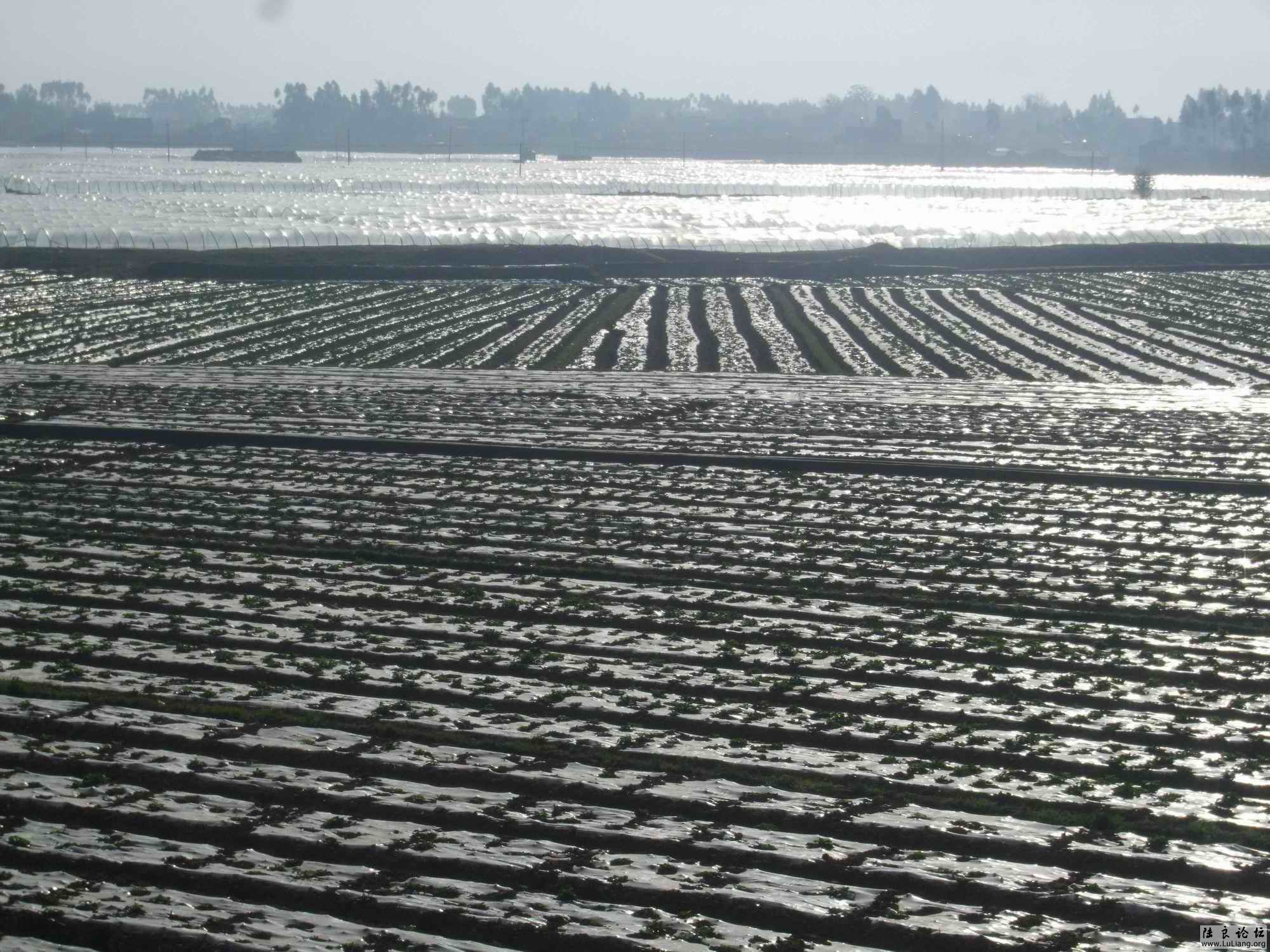 ������С DSCF3895.JPG