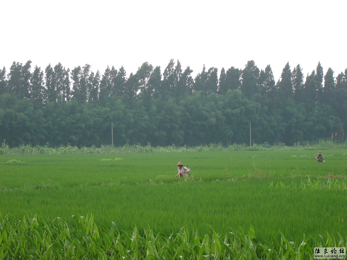 �����ļ��� 014.jpg