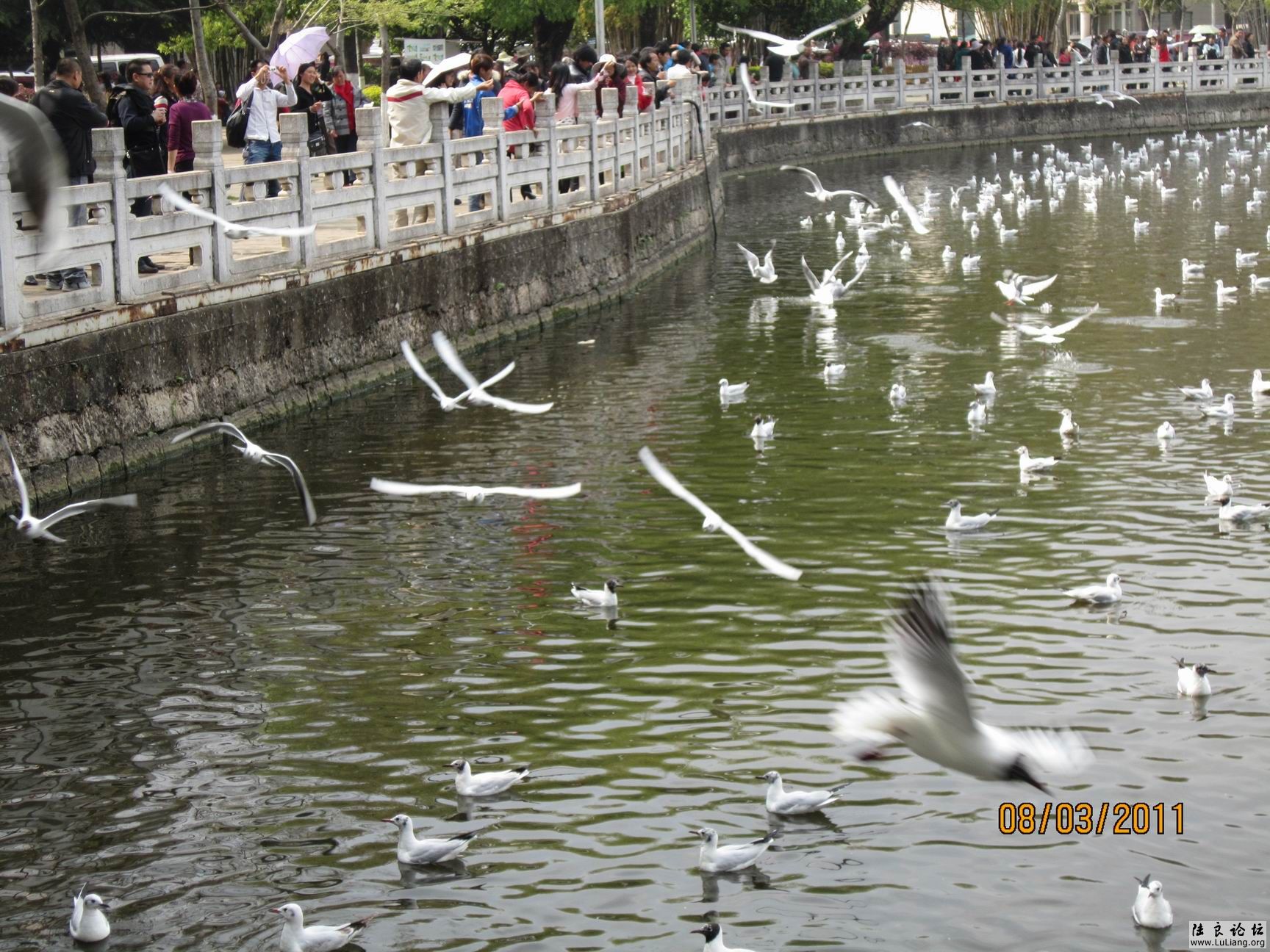 ������С IMG_0767.JPG