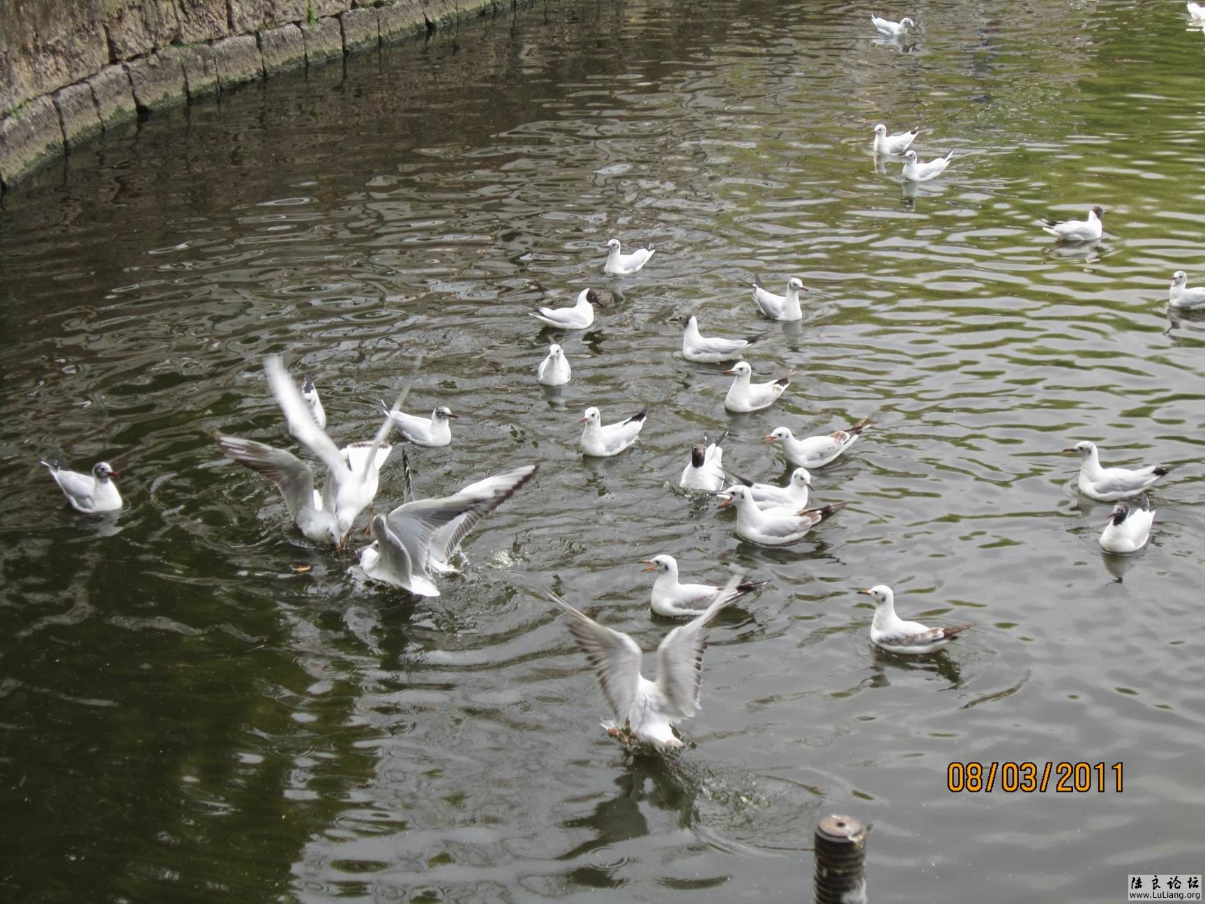 ������С IMG_0754.JPG