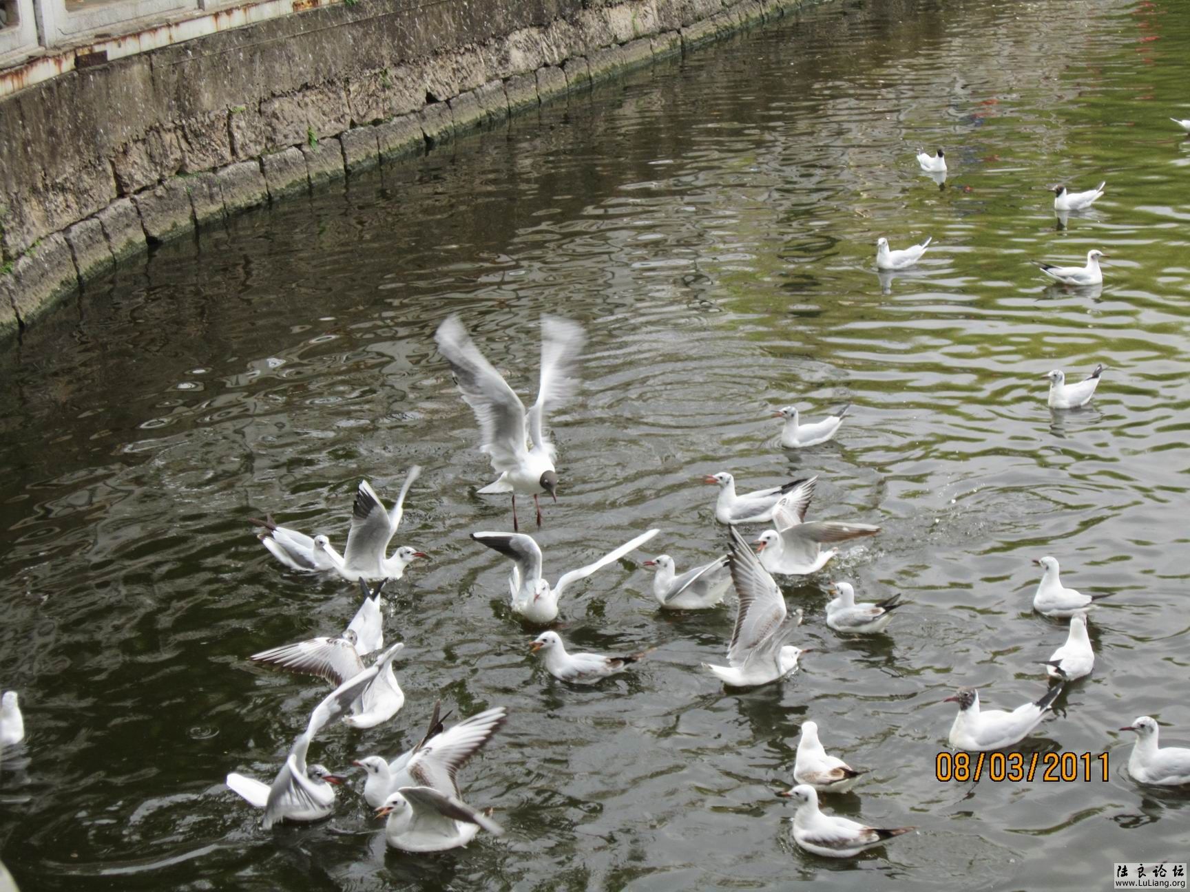 ������С IMG_0758.JPG