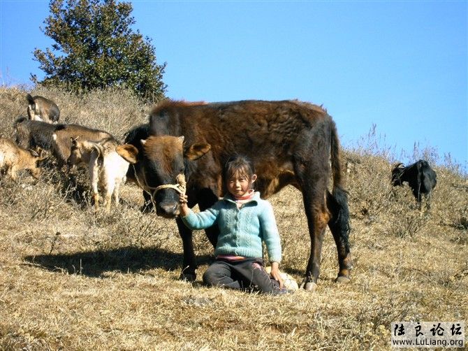 ��ţ��СŮ��