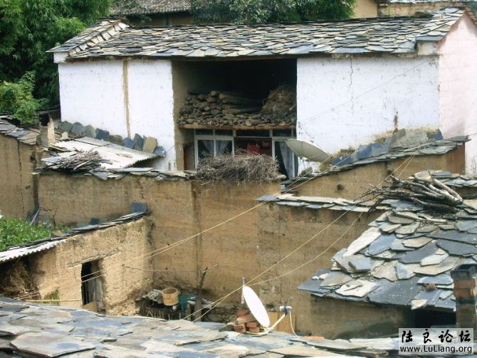 ��˵��ʯ�巿