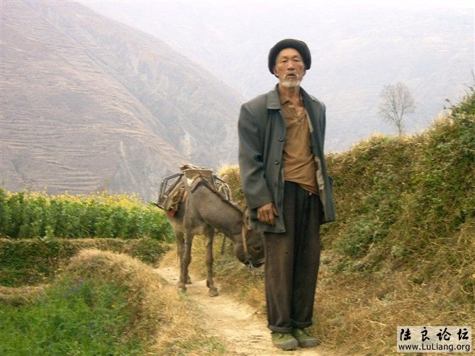 ɽ�ﰢ����