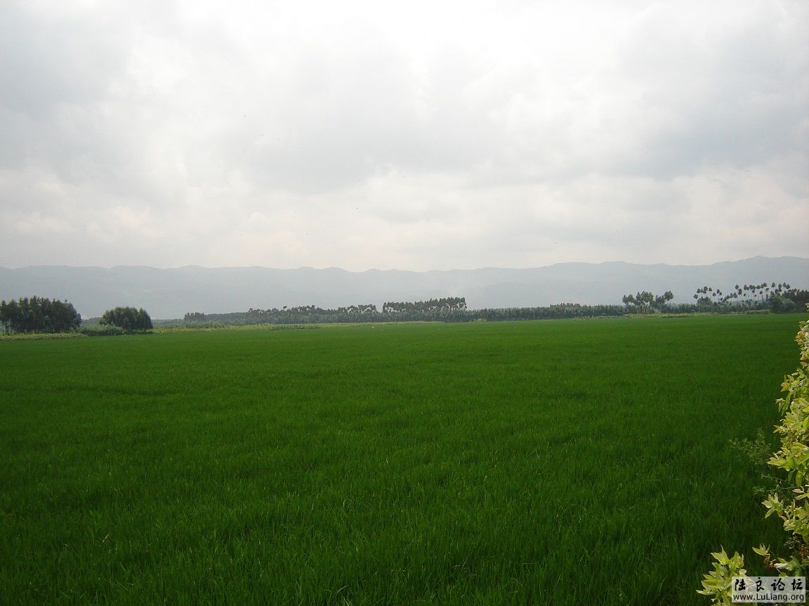 �����ļ���