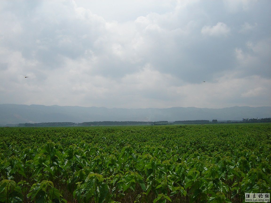 �����ļ���