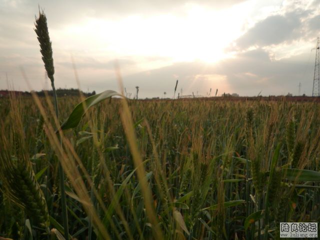 �������â (1).JPG