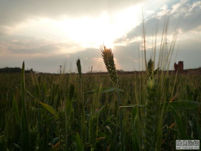 �������â (2).JPG