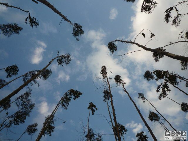 ��ķ��� (1).JPG