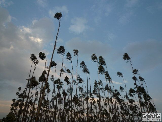 ��ķ��� (3).JPG