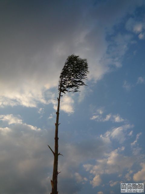 ��ķ��� (4).JPG