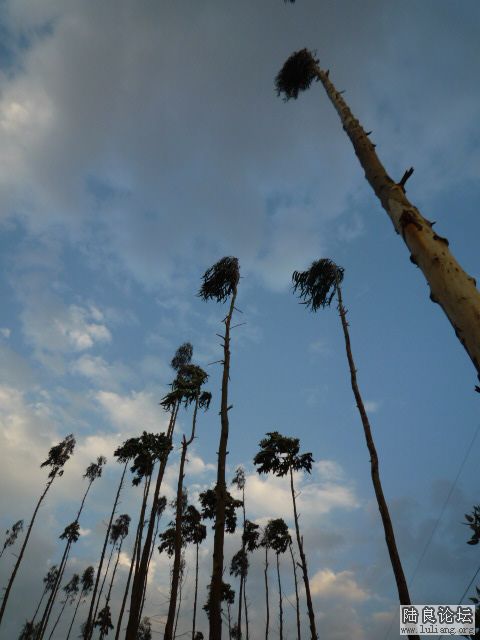 ��ķ��� (5).JPG