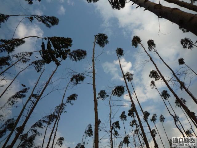 �������� (2).JPG