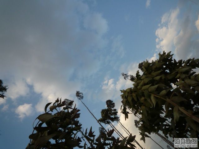 �������� (4).JPG