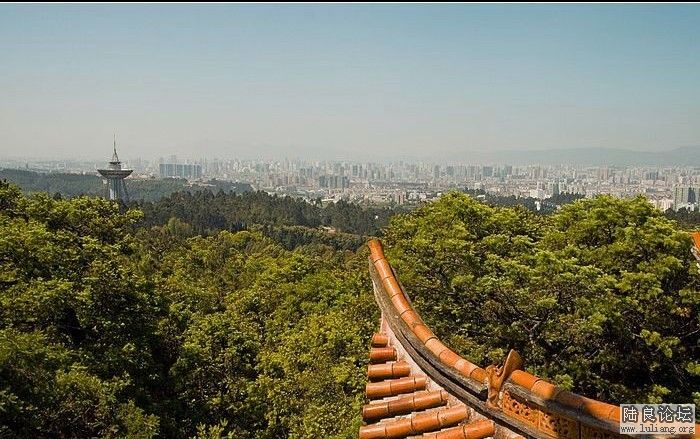 Զ��������