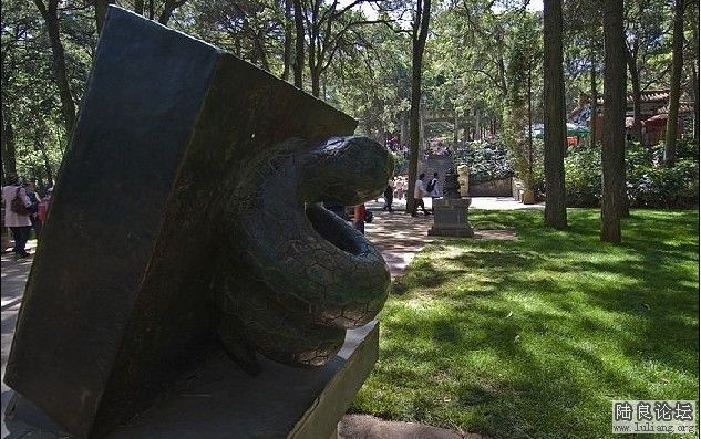 ����֮ӡ����