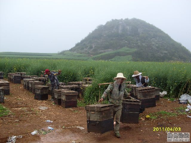 ��ũҪ����