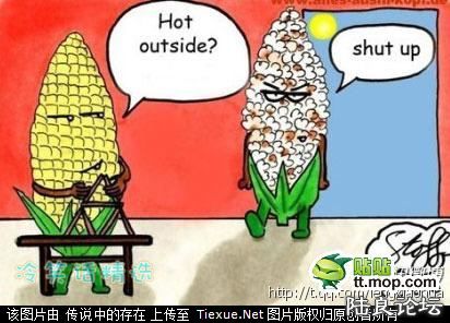 12933533 - ����.jpg