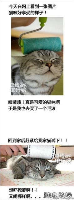 12961556 - ����.jpg