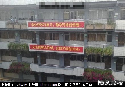 12964518 - ����.jpg