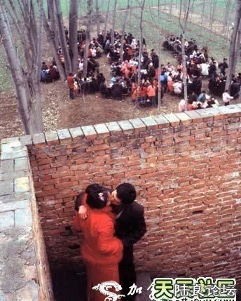 12973871 - ����.jpg