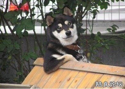 121398773_91n - ����.jpg