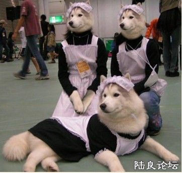 121398773_261n - ����.jpg