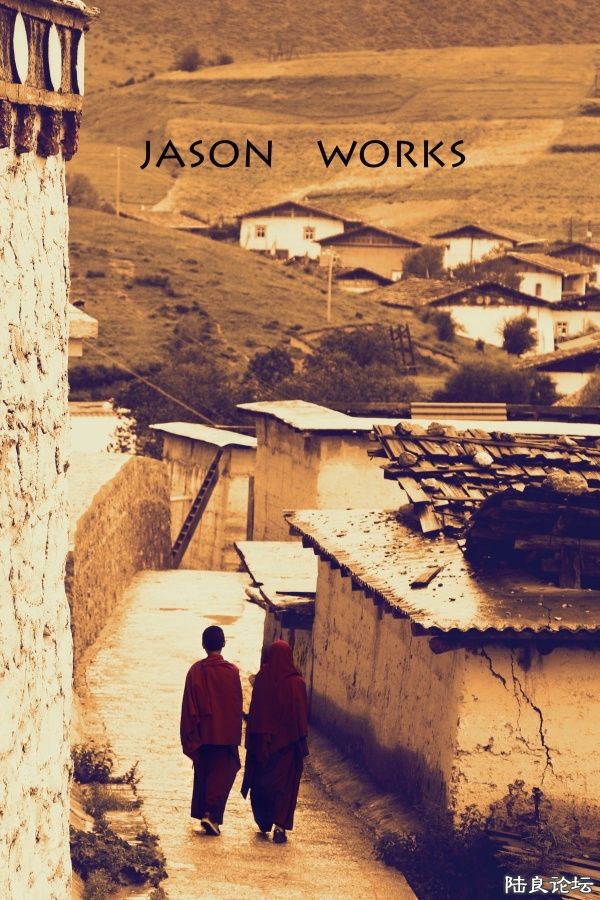 ���������е����¡����������������