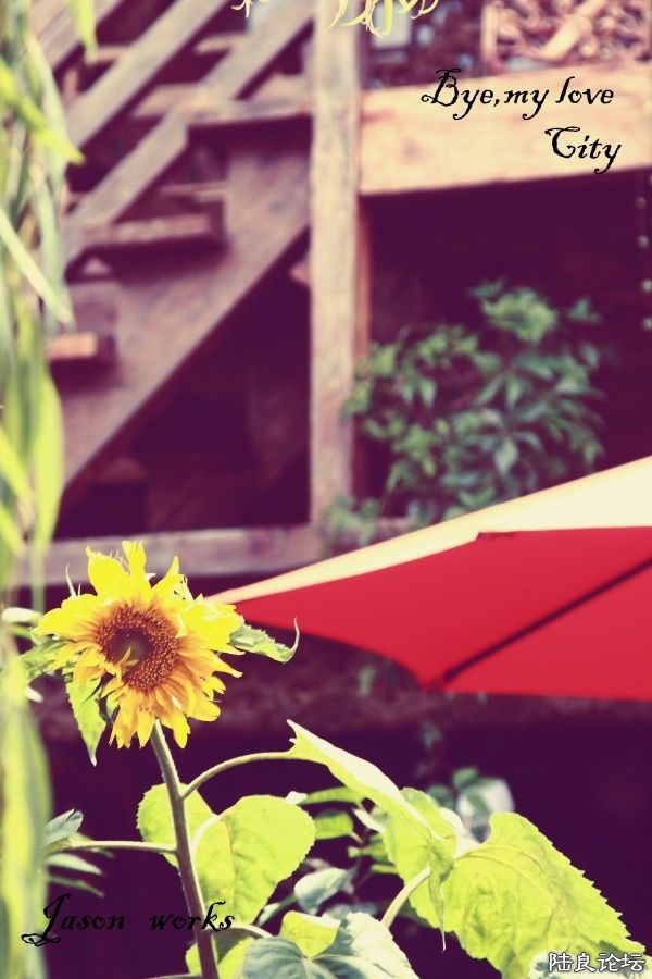 ���Ĺ��������á���Ҫ��ȫ��������ռ�С�