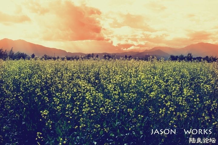 ��������е���һƬ���������е�ֻ��һ��˼�