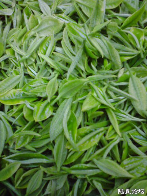 һѿһҶ���۸�