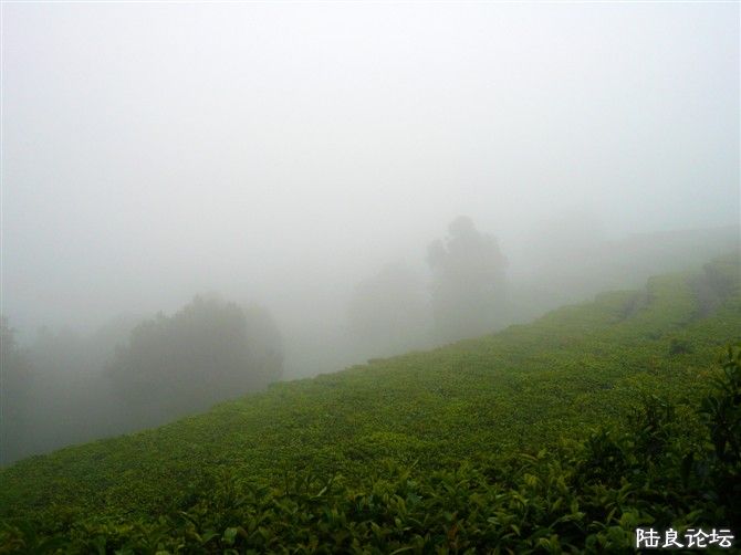 ��ɽ�ϵ���