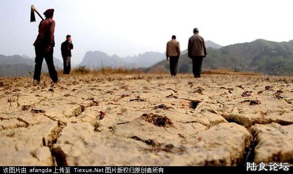 ���ȸɿʣ�ũ��Ʒ����