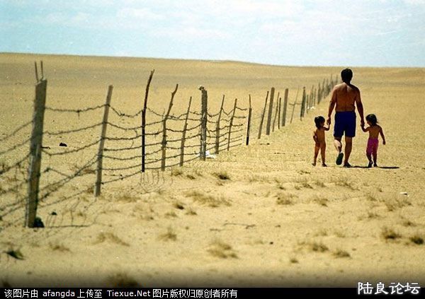 �ɺ���ɳĮ���ǵ��������������� 