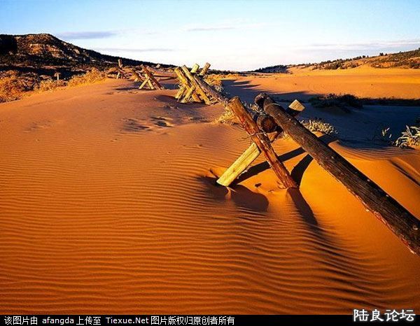 ���ػ�Į����������