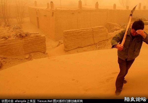 ɳ�����£�����״�����Ӽ���