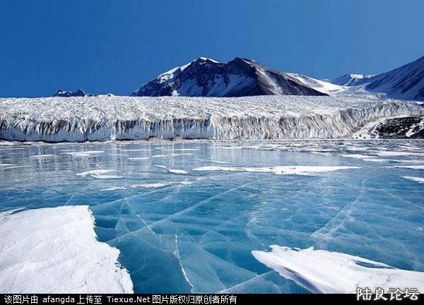 �����ڻ���������Ӱ�쵽�������̬���� 