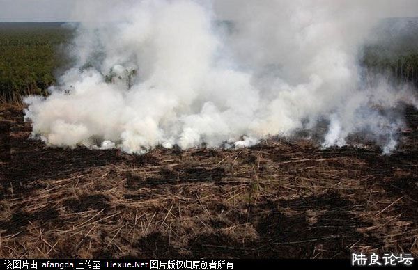 �ȴ����ֲ�ͣ���ܵ�������Ӷ���ƻ� 