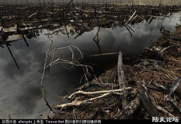 ������������±�����˺�� 