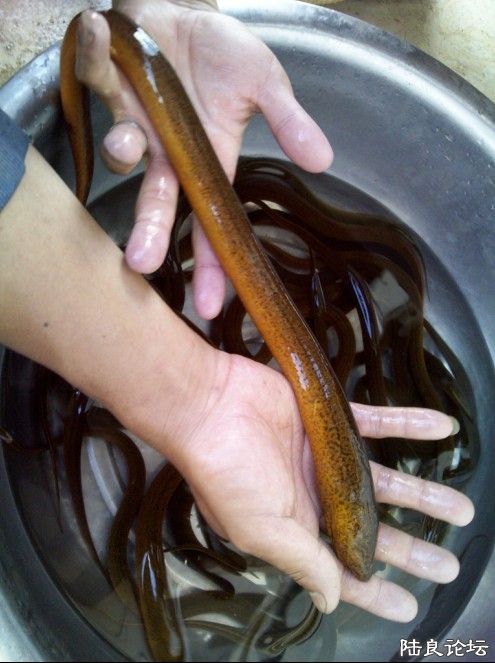 �������������