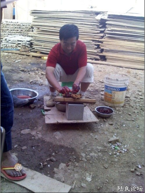 ������Ŀ��������ɱ��� ��