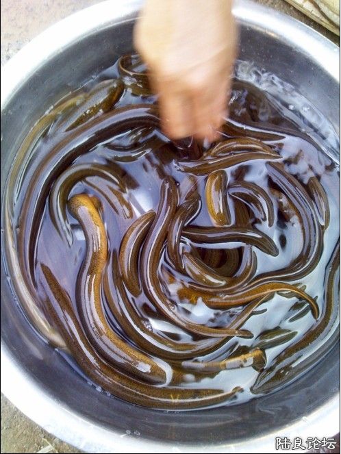 �����Ժ���ջ񣬿�ʼ��ɱ��