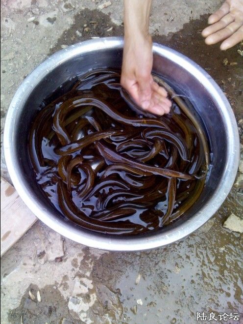 �����Ժ���ջ�