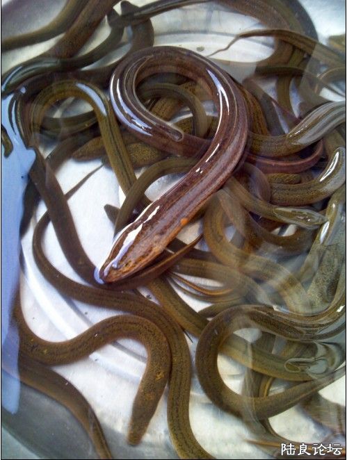 ���С�ĶԱ�