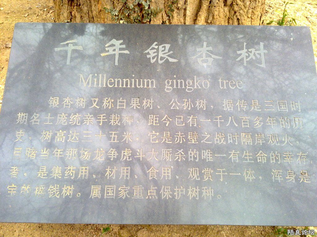 20110330339.jpg