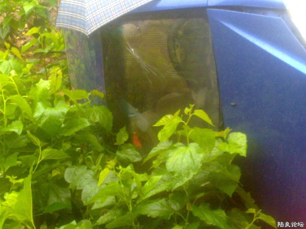 ���粣�����ˣ�����˾����ͷ�ò�������ȥ��