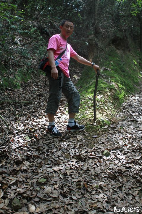 ���ǵĻ����